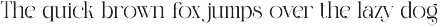 Binger Elegant Serif Font preview