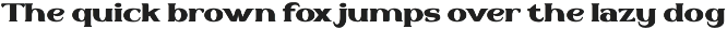 Volerty - Serif Display Font preview
