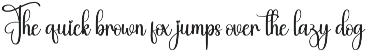 Best Blanket | Script Font preview