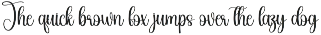Donkey | Script Font preview
