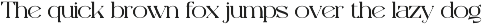 Diggie Brown | Modern Display Serif preview