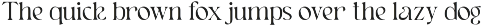Hakuna – Elegant Serif Font preview