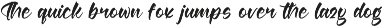 Berlin Travels Bold Calligraphy Font preview