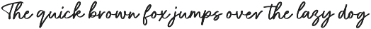 Bleury Saint Modern Script Font preview