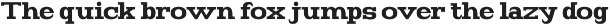 Avlnur - Serif Display Font preview