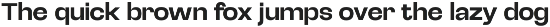 Selqova | Sans serif family preview