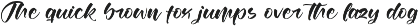 Joyland Delight Bold Calligraphy preview