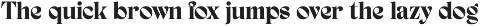 Briangel Exotic Serif Font preview