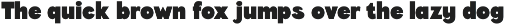 CS Guthen – Bold Font preview