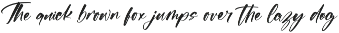 Flusteria Routine Modern Brush Font preview