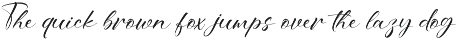 Bitteva Script - Classy Script Font preview