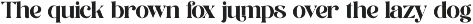 Runlight Harmony Groovy Serif preview