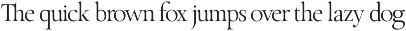 The Roman Edition - Serif Typeface font preview
