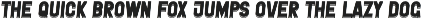 Sportgen - Gym Sport Display Font preview