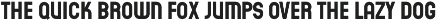 Crimestopper JNL preview