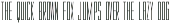 Disclaimer JNL preview