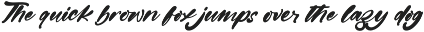 Gintery Dhump Bold Calligraphy Font preview