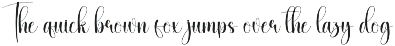 Donkeys | Script Font preview