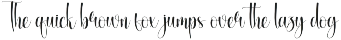 Midnight | Script Font preview