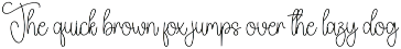 Notebook | Script Font preview
