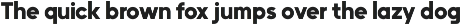 FirstWord typeface family preview