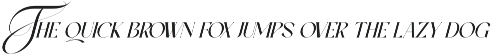 Ever Lasting - Modern Serif Font preview