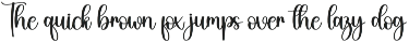 Airplane | Script Font preview