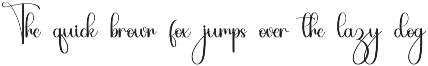 This Signature preview