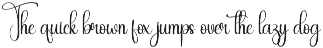 Eighteen | Script Font preview