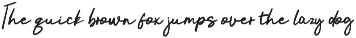 Hibiscus - Bold script font preview