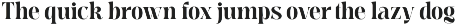 Meagre Display - 90s  Serif Family preview