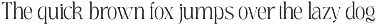 Meagre Display - 90s  Serif Family preview