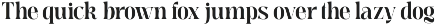Meagre Display - 90s  Serif Family preview