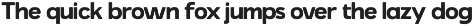 The Rilman - Ligature Rounded preview