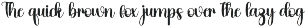 Hansome preview