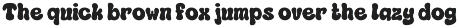 Baiky Retro - Branding Logo Font preview