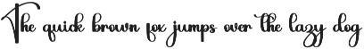 Typography Handmade preview