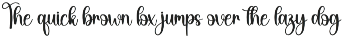 Airplane | Script Font preview
