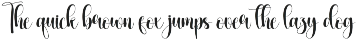 Goodnotes | Script Font preview