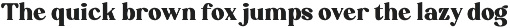 Calfint - Bold Serif Font preview