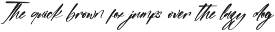 Habitual Detective Bold Handwritten preview
