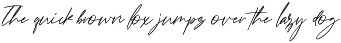 Hidzena - Classy Signature Font preview