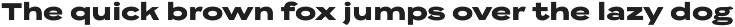 Resident Sans Serif preview