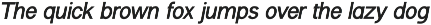 Halogeton Modern Sans Serif Family preview