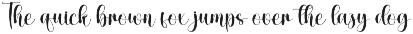 Holiday | Script Font preview