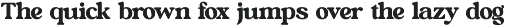 Bright Rustic Bold Serif Font preview