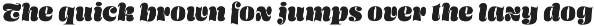 Skolender Retro Font preview