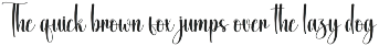 International | Script Font preview