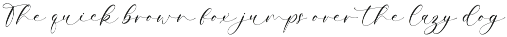 The Lacoste Font Duo preview