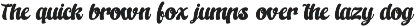 Kungfu Flame Bold Calligraphy preview
